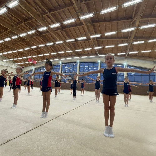 Ковер гимнастический (для домашних занятий) 6x6м